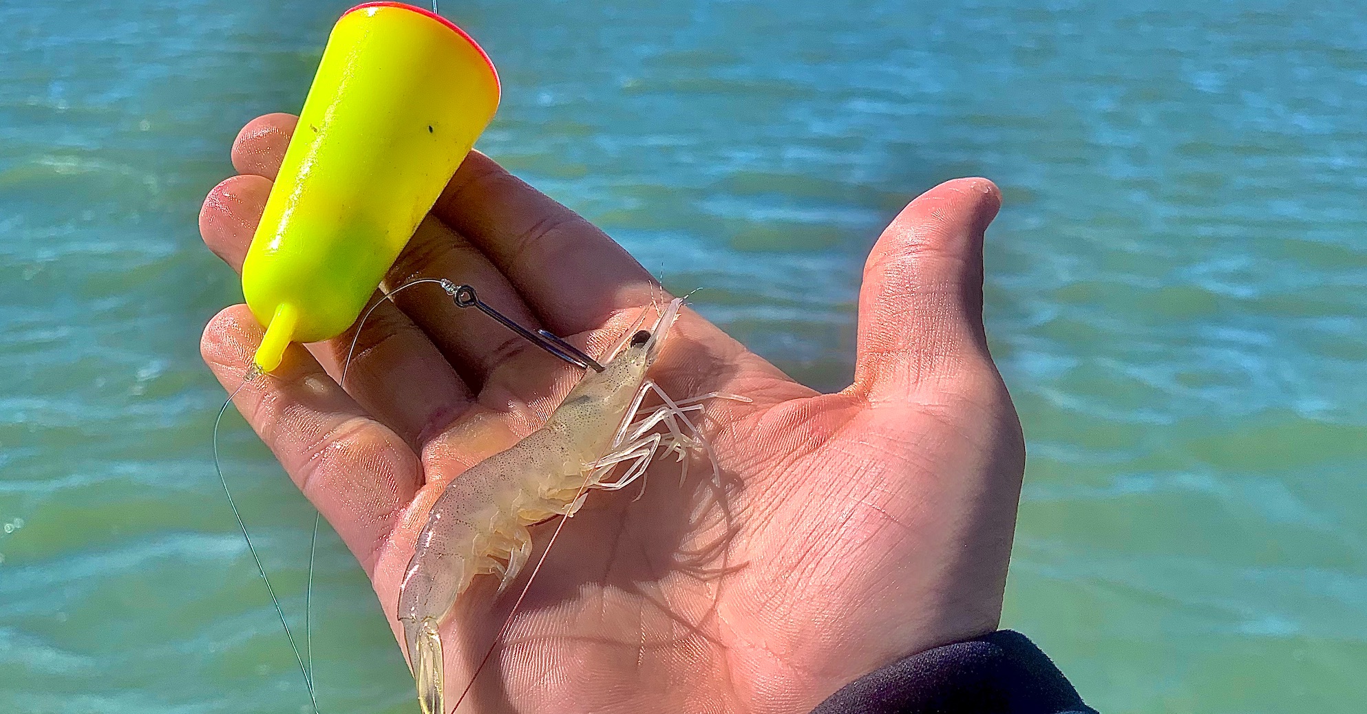 How To Use Live Shrimp In The Shallows On Windy Days » Salt Strong