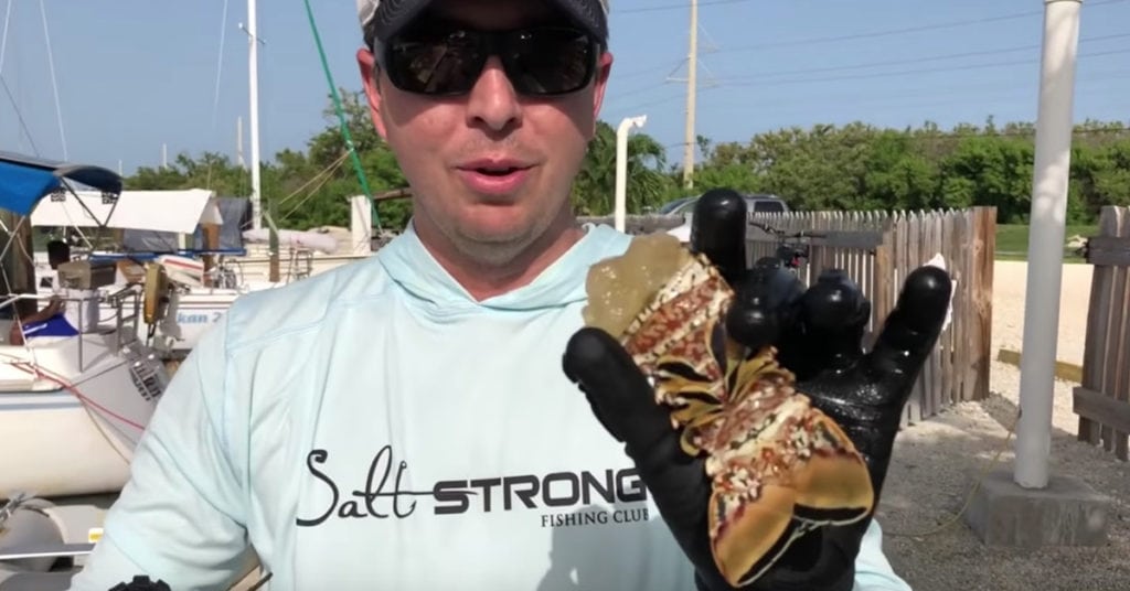 How To Quickly Clean A Lobster Without Any Tools [Video]