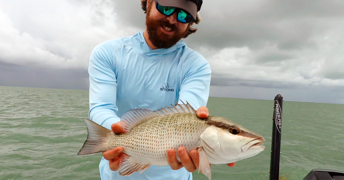 How to catch mangrove snapper in the gulf of mexico How To Catch Boatloads Of Big Mangrove Snapper 3 Simple Keys