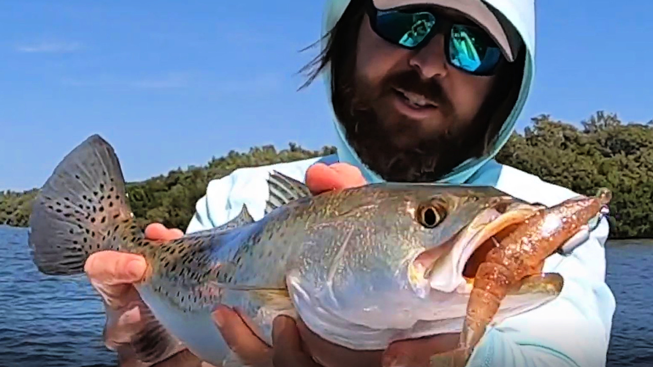 This Is How To Rig Power Prawns On Owner TwistLock Hooks