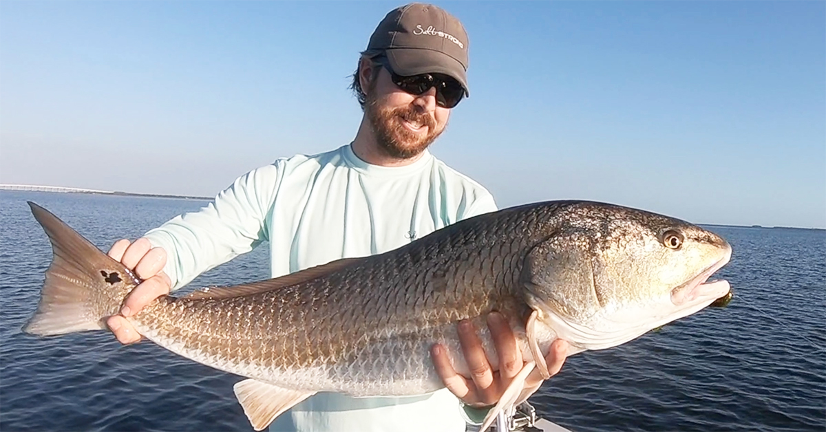 New Redfish Lure Designed For Getting Strikes In Calm, Shallow Flats