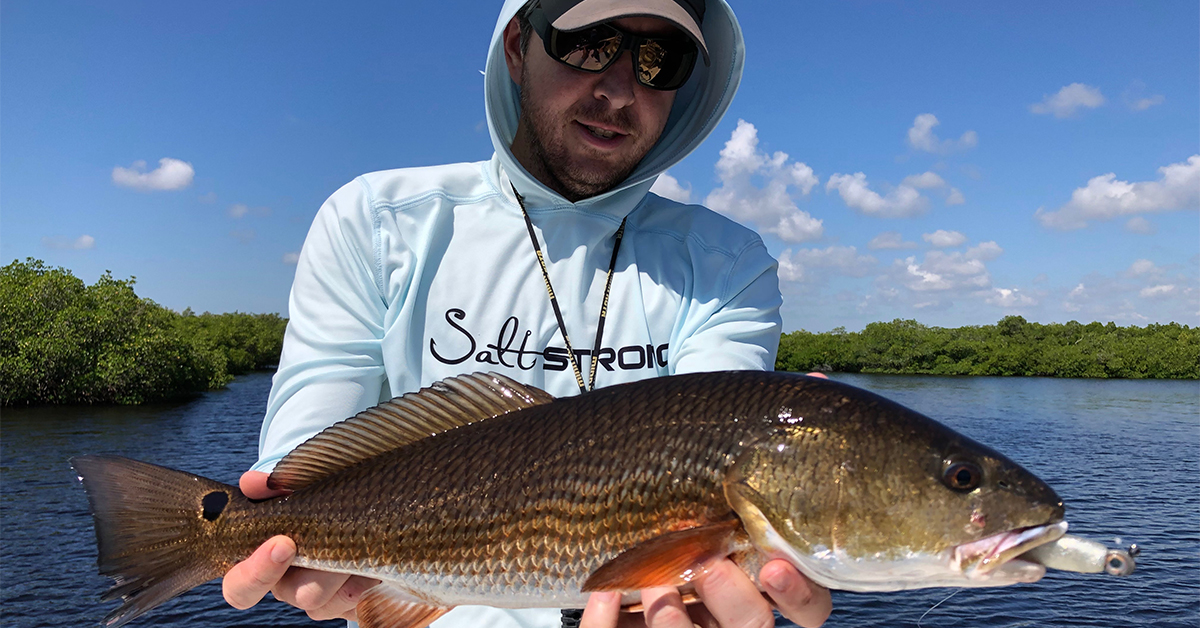 http://redfish%20on%20a%20tough%20day