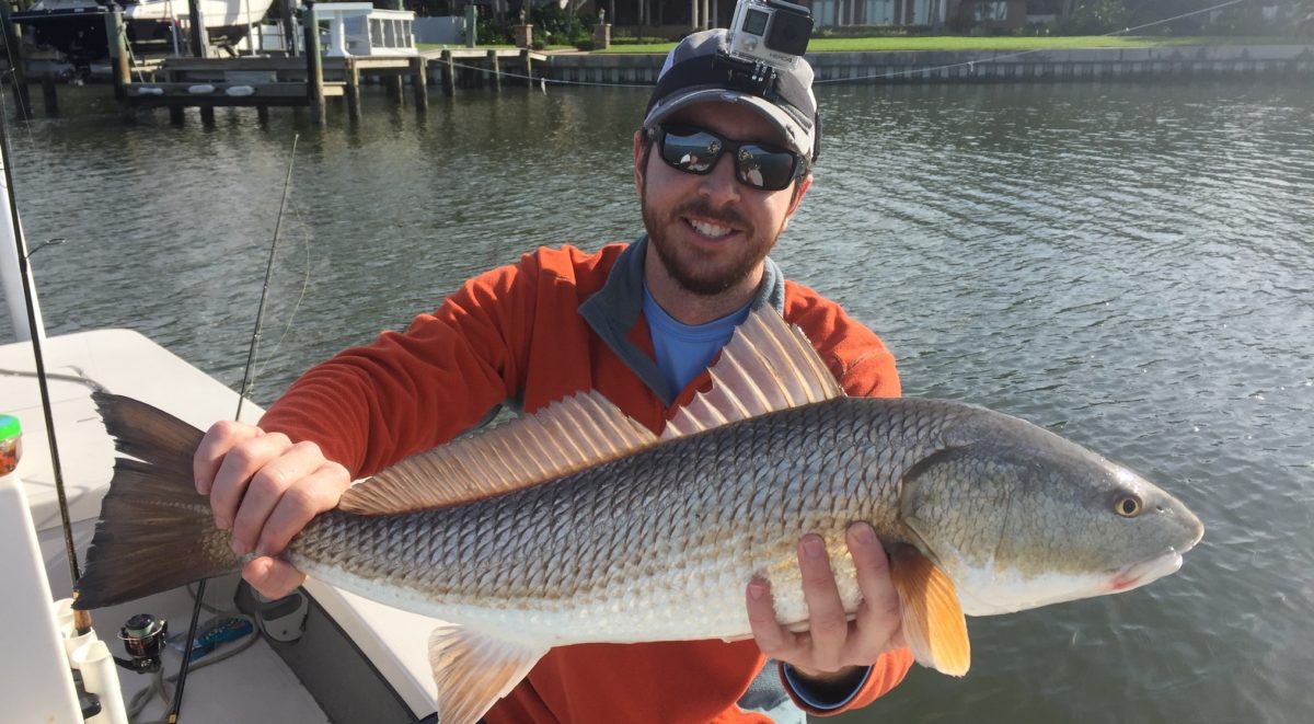 http://how%20to%20catch%20redfish