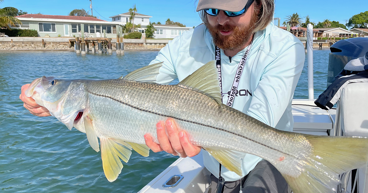 Fish Scent Battle (Pro-Cure vs New Custom Inshore Scent)