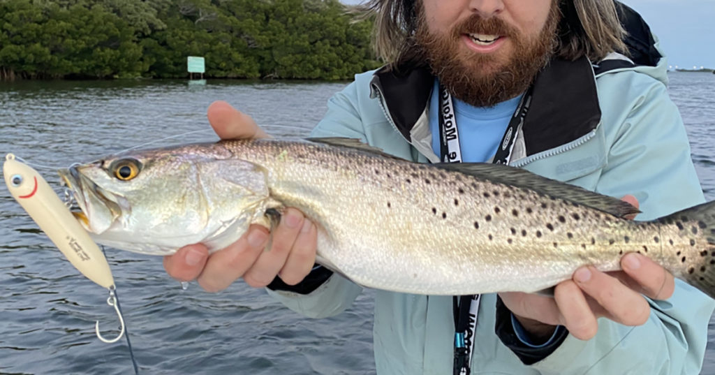 spring topwater trout
