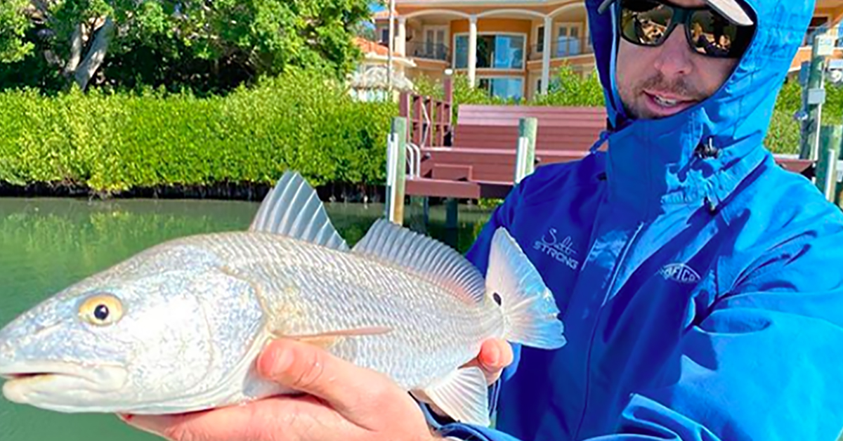 How Water Temperature Affects Inshore Saltwater Fishing