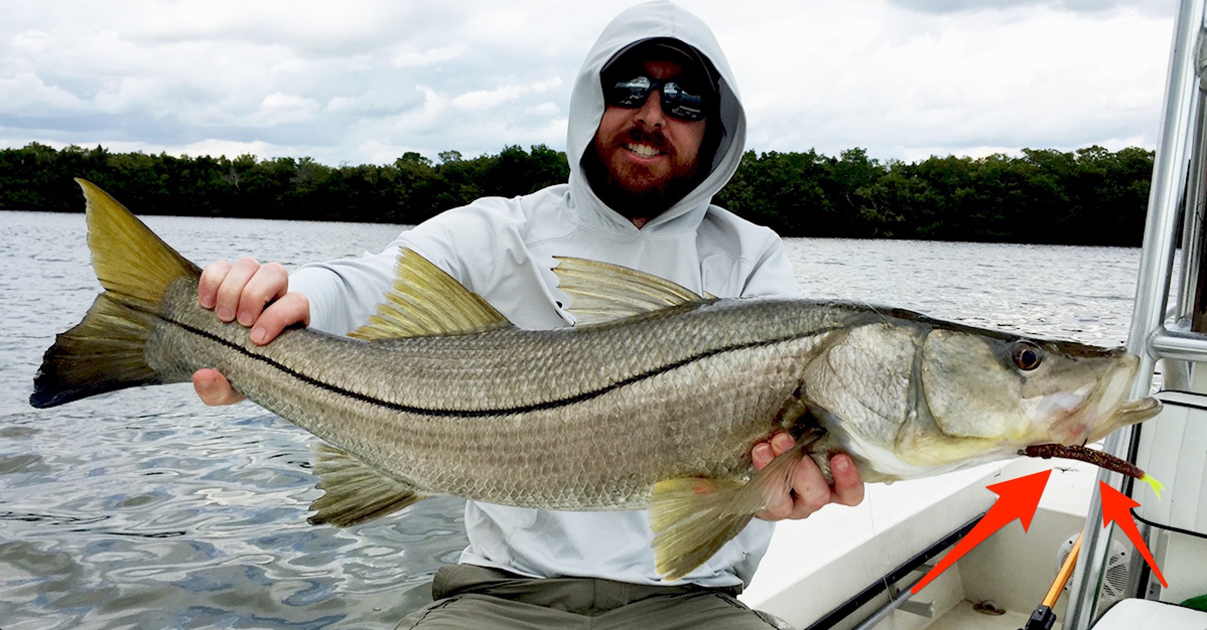 snook on artificial lure