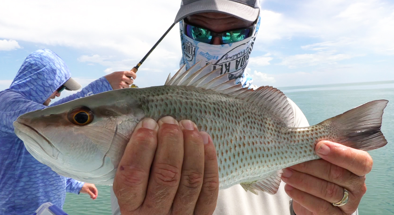 2 Tips For Catching Keeper-Size Inshore Mangrove Snapper