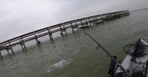 1 Way To Target Inshore Fish Around Deepwater Docks