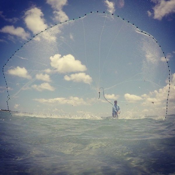 Live Bait vs Artificial Which Fishing Technique Is Best For Inshore Fishing?