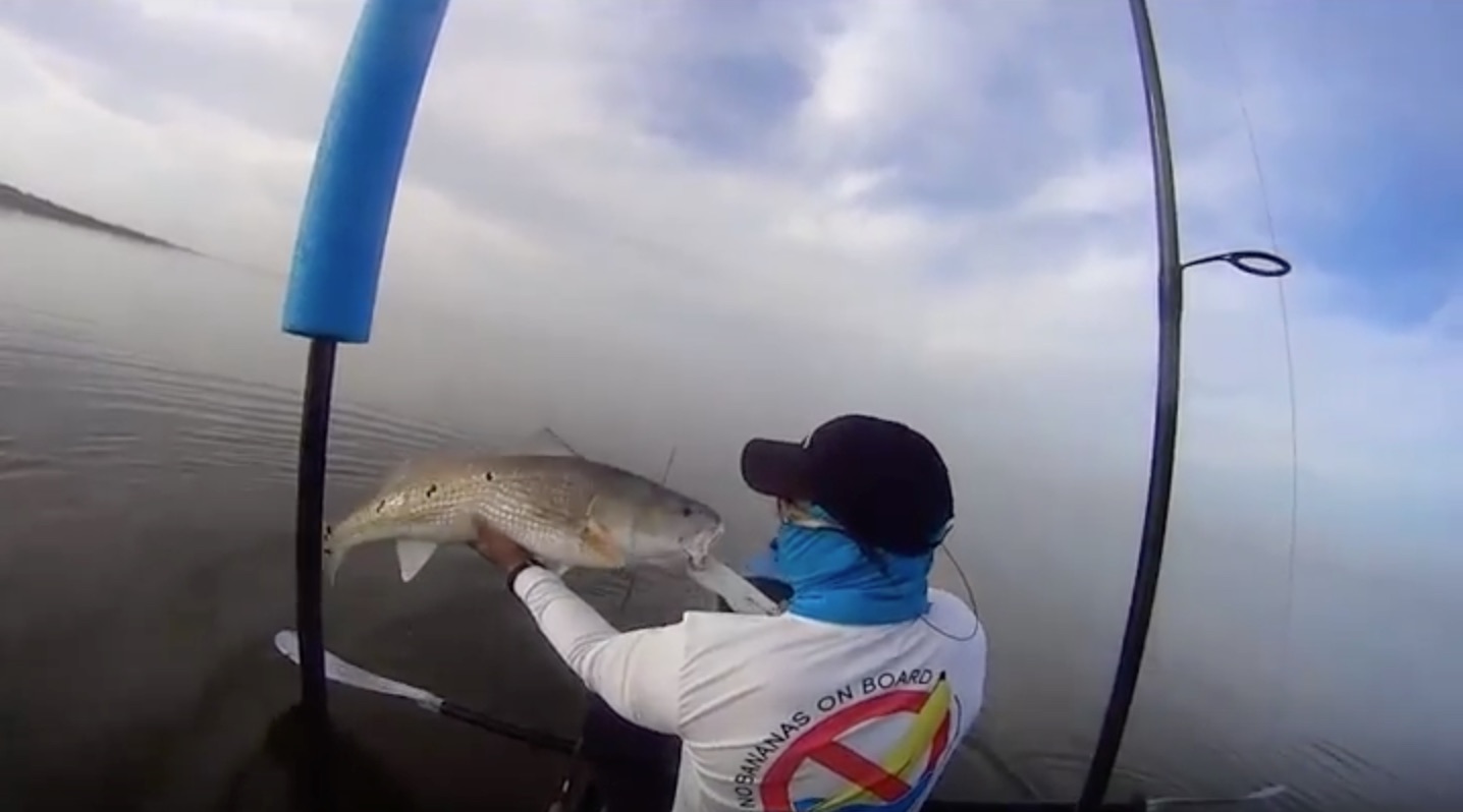 No bananas on the boat redfish