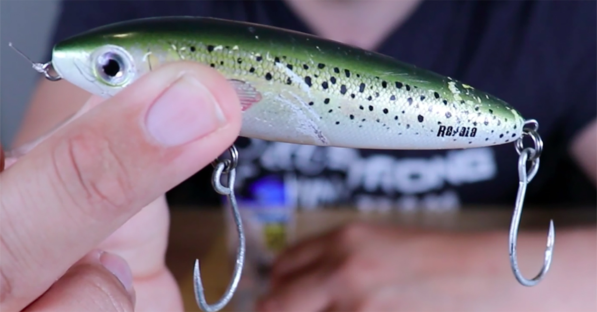 The Best Hooks For Topwater Lures (That Are Safer & More Effective)
