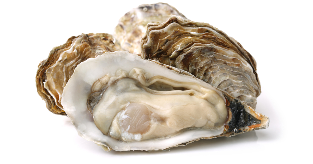 http://oyster%20restoration