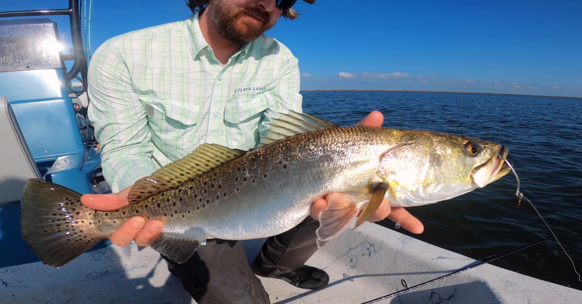 Fishing With Live Bait & Lures In The Texas Marsh [Fishing Report]