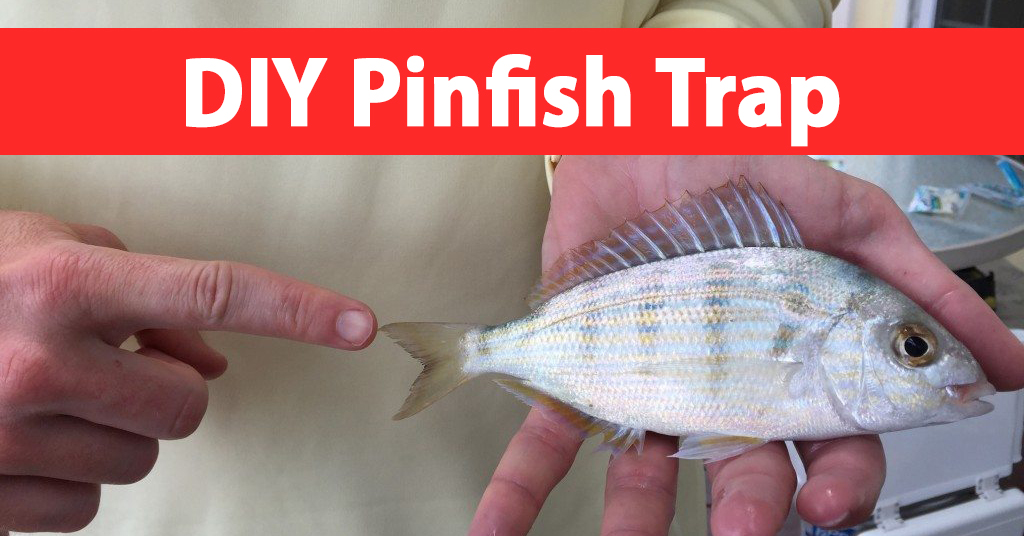 How To Make A Pinfish Trap (DIY Pinfish Trap Tutorial)