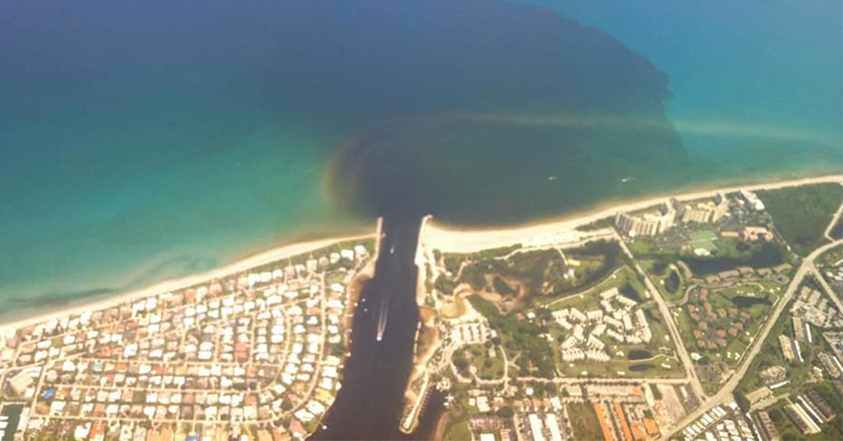 Lake Okeechobee Toxic Water Discharge