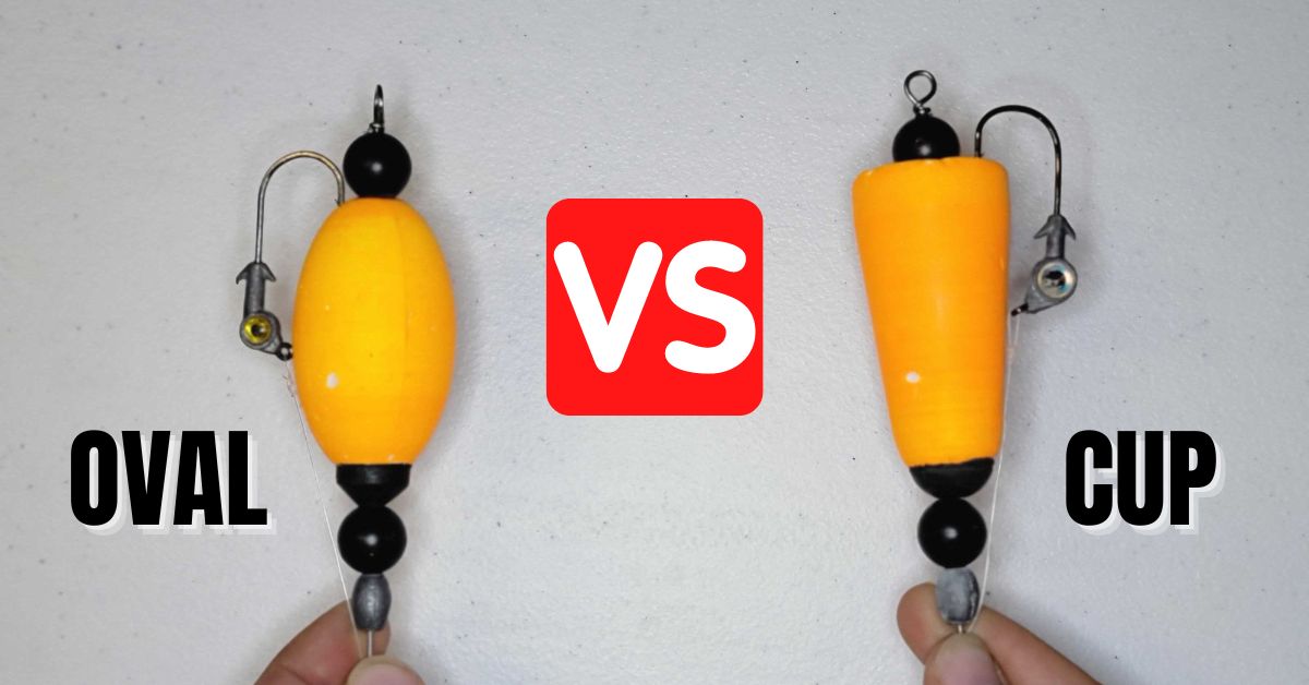 Oval VS Cup Shape Popping Cork Experiment