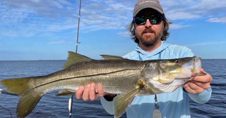 How To Catch Fish Right After A Big Rainstorm