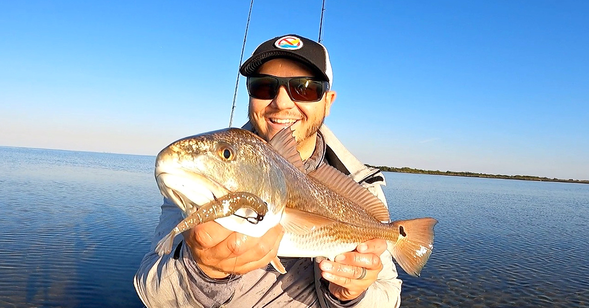 http://sight%20casting%20at%20tailing%20redfish%20with%20the%20all%20new%20power%20prawn%20usa