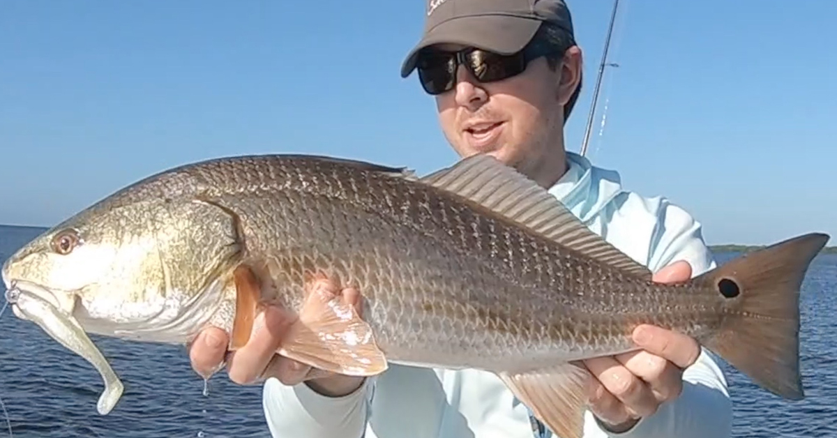 http://how%20to%20catch%20redfish