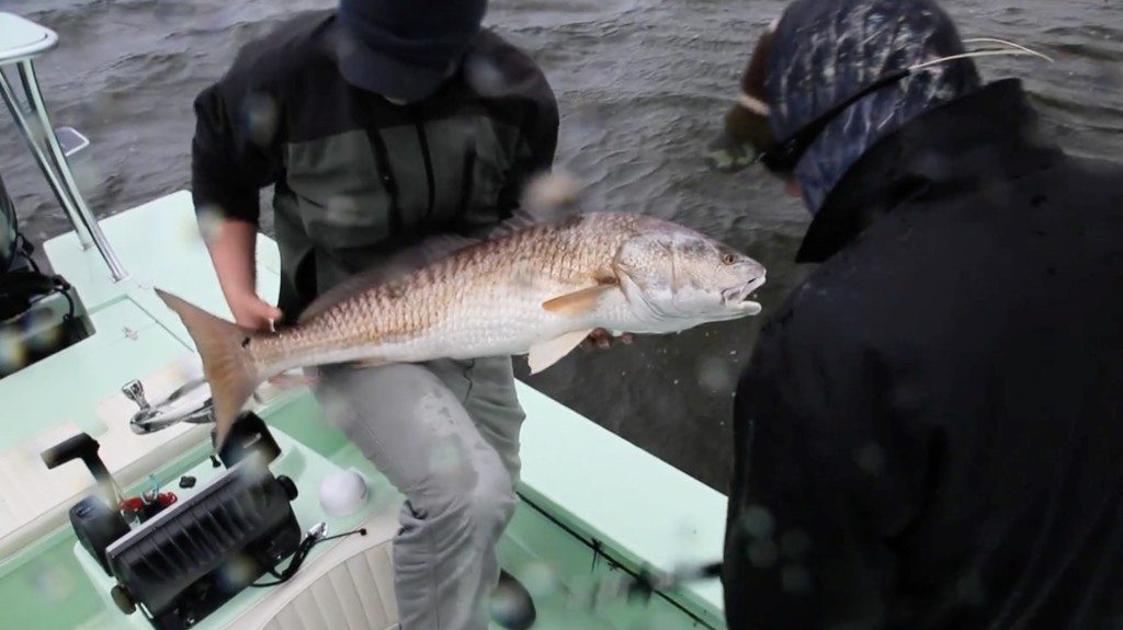 redfish wintertime louisiana