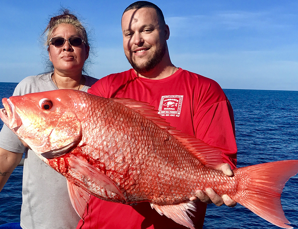 best red snapper bait