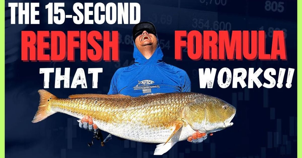 http://15-second%20redfish%20formula%20that%20works