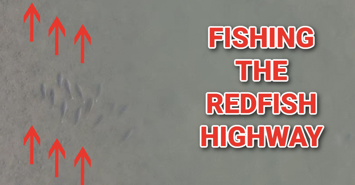 http://fishing%20the%20redfish%20highway