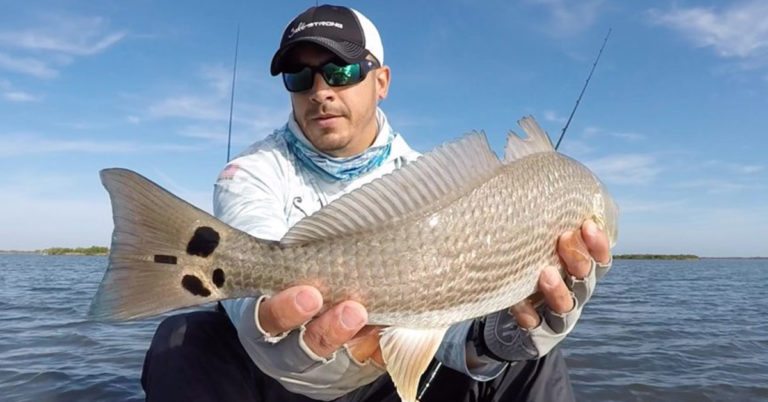 How To Sight Fish Redfish On The Flats With DEAD SHRIMP