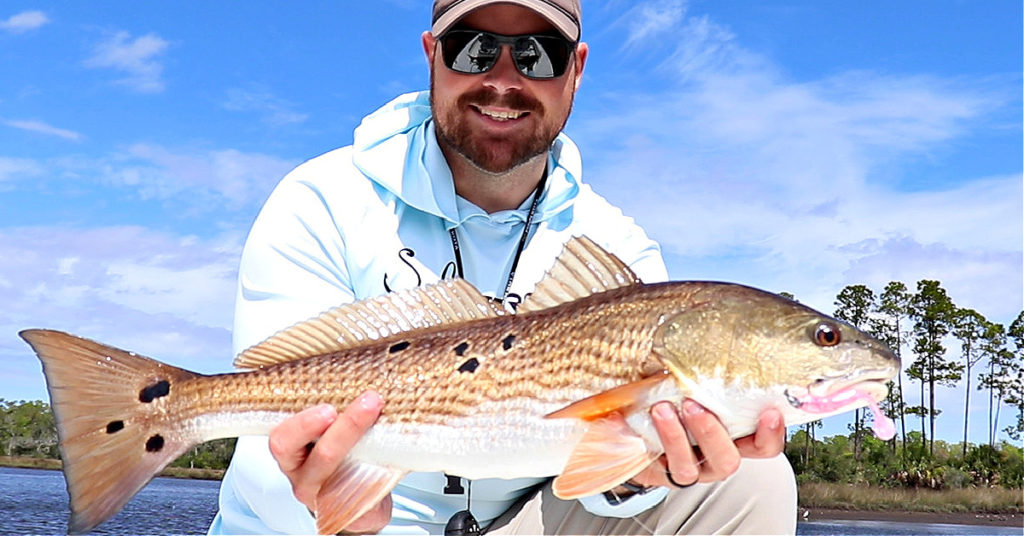 redfish and trout paddletail lure