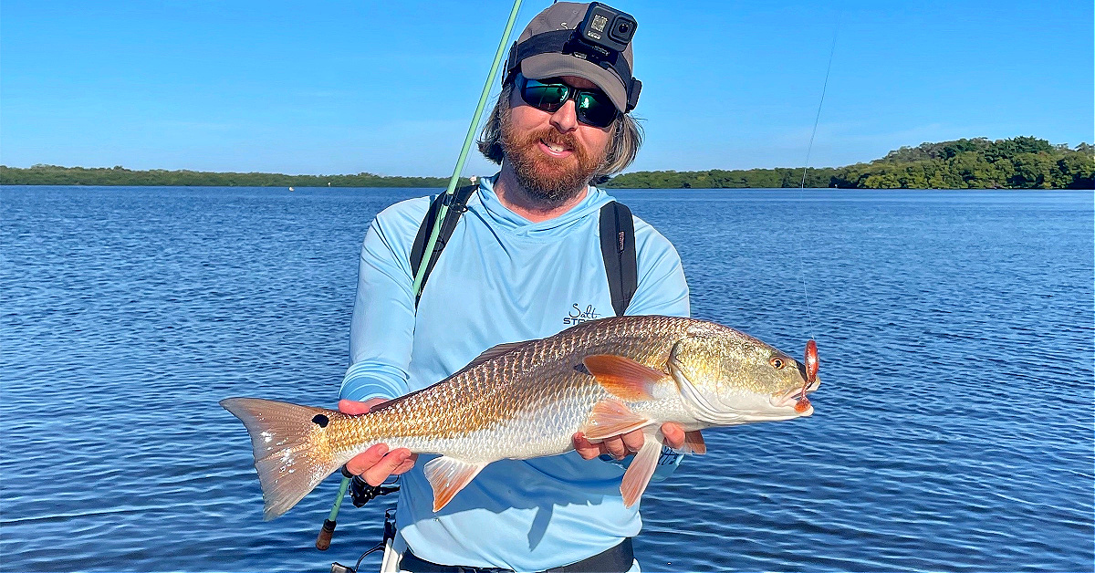 http://wading%20redfish