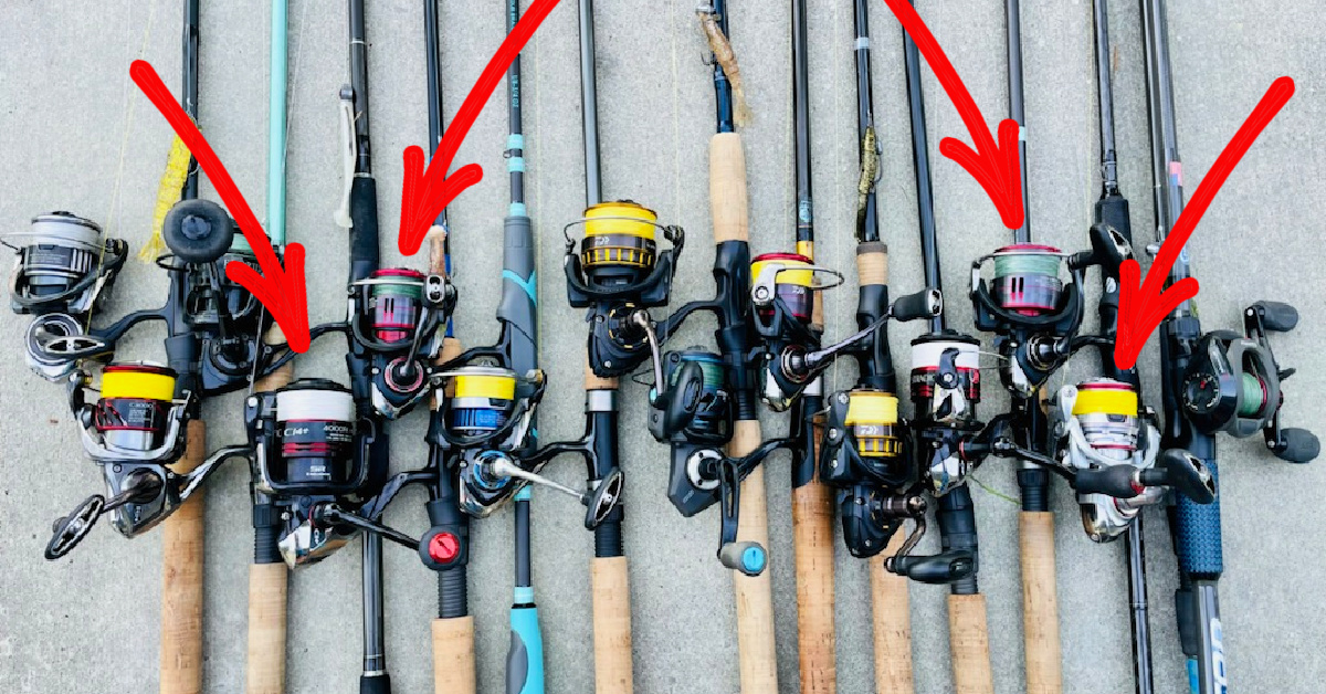 Types of Fishing Rods - Different Kinds of Fishing Reels