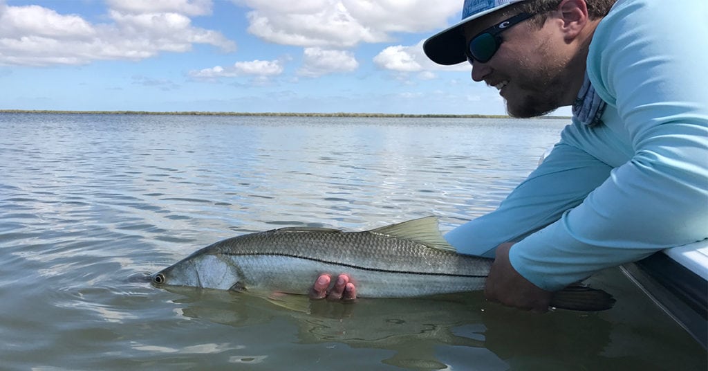 Catch and Release Snook