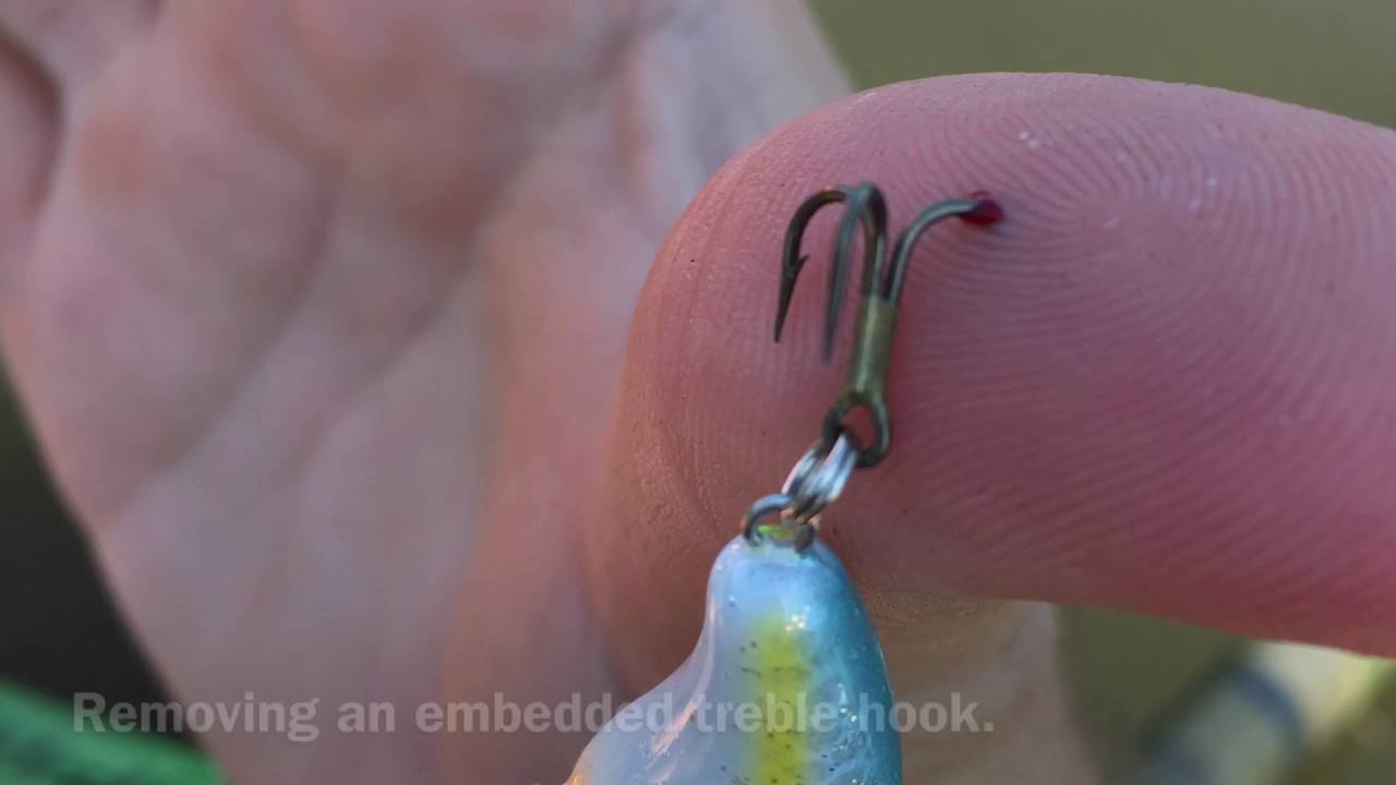 embedded treble hook