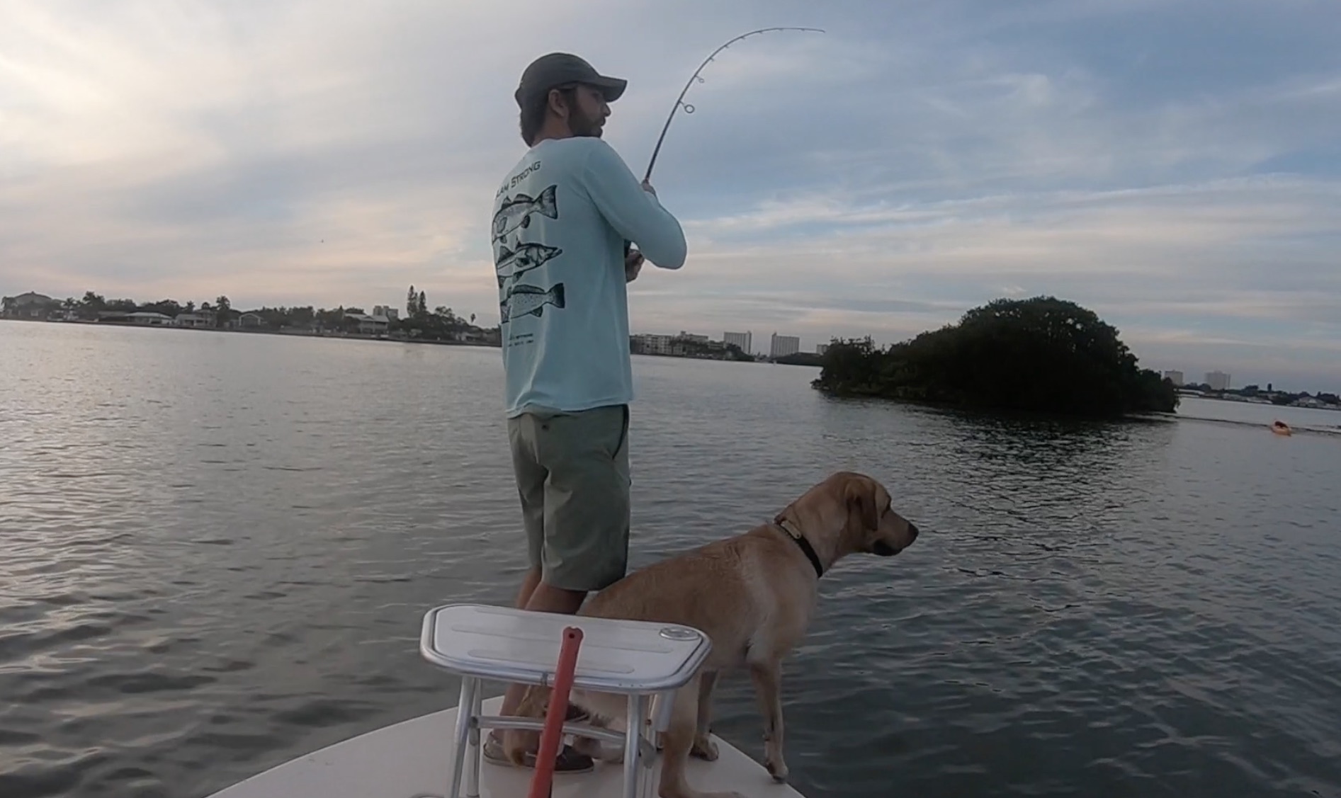 retrieving paddletail lures