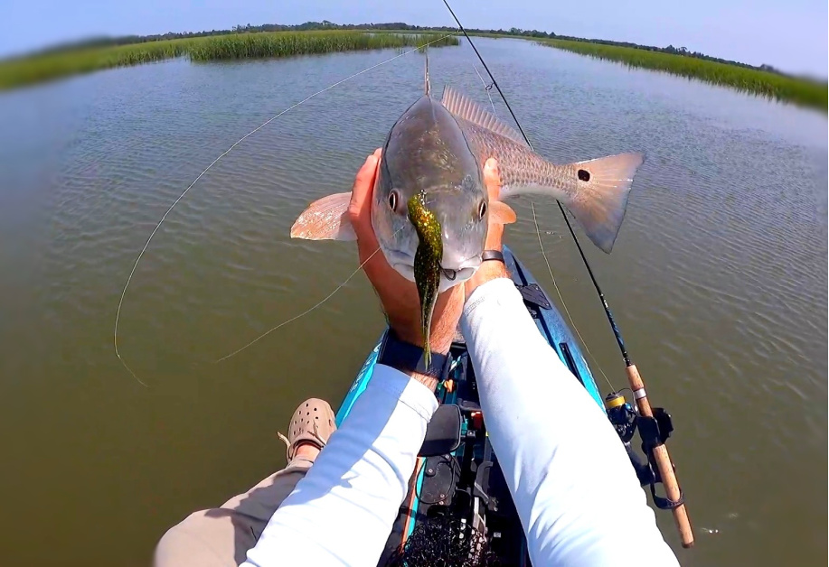 This Is How To Locate Redfish On High Tide Around Grass Flats