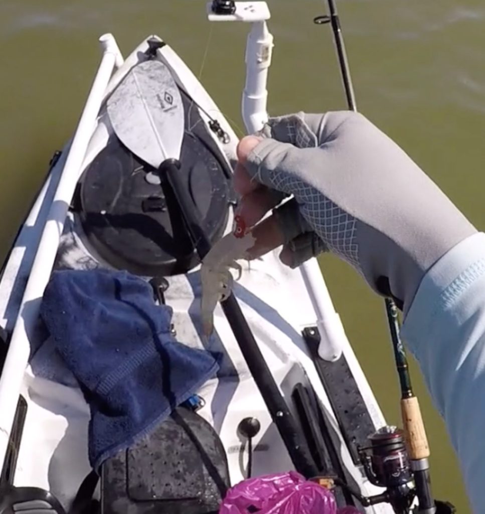 How To Rig Dead Shrimp On A Jig Head For More Bites [VIDEO]