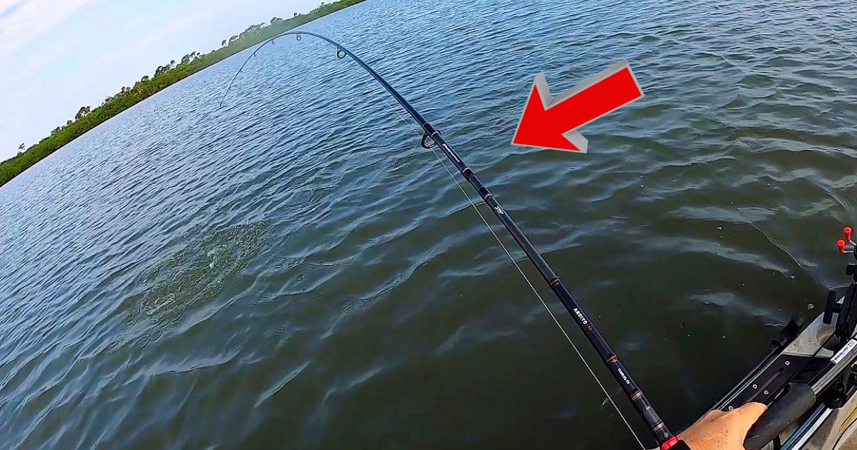 The Must-Have Fishing Rod EVERYONE Needs In Their Arsenal