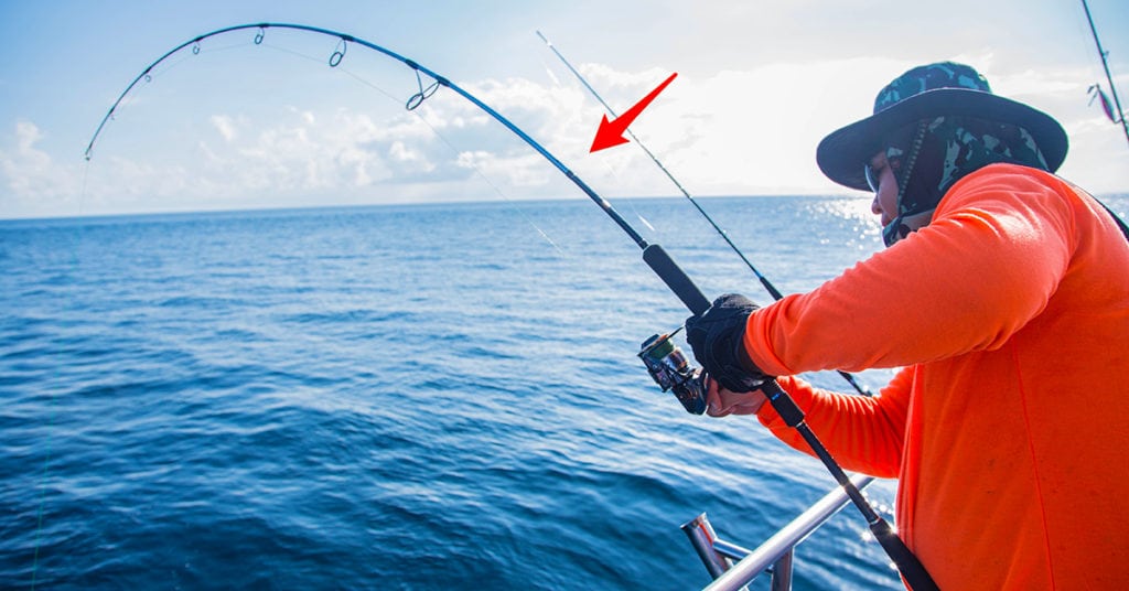 Saltwater Fishing Rods Guide