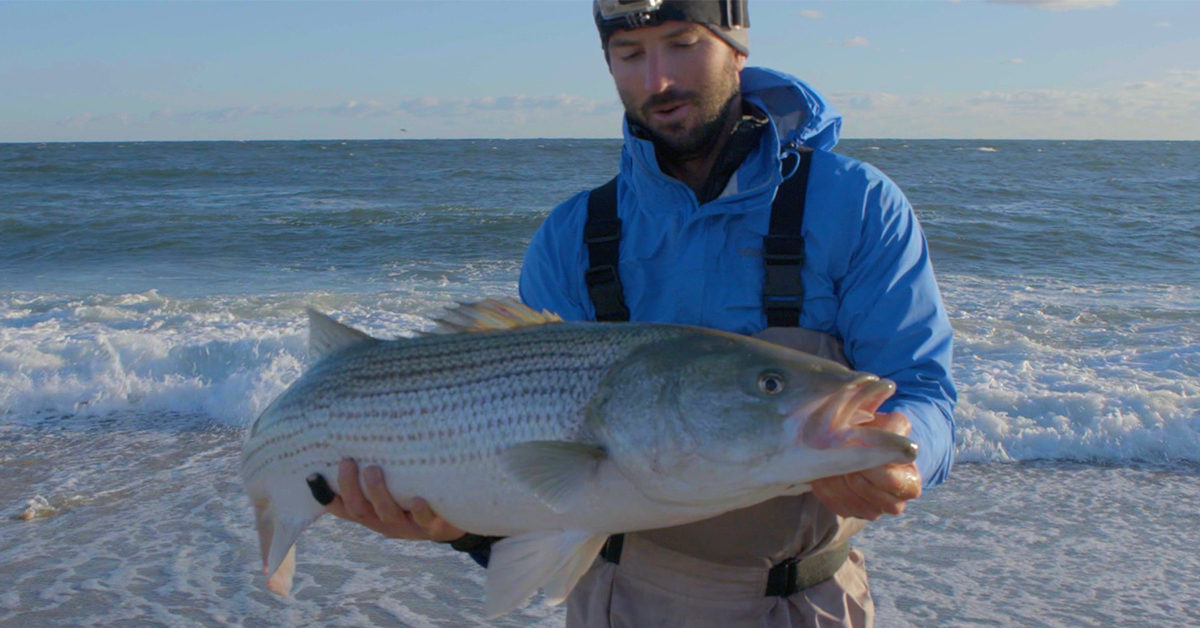 Fishing Cape Cod (Stripers, Bluefish, & Trout) With Ryan Collins