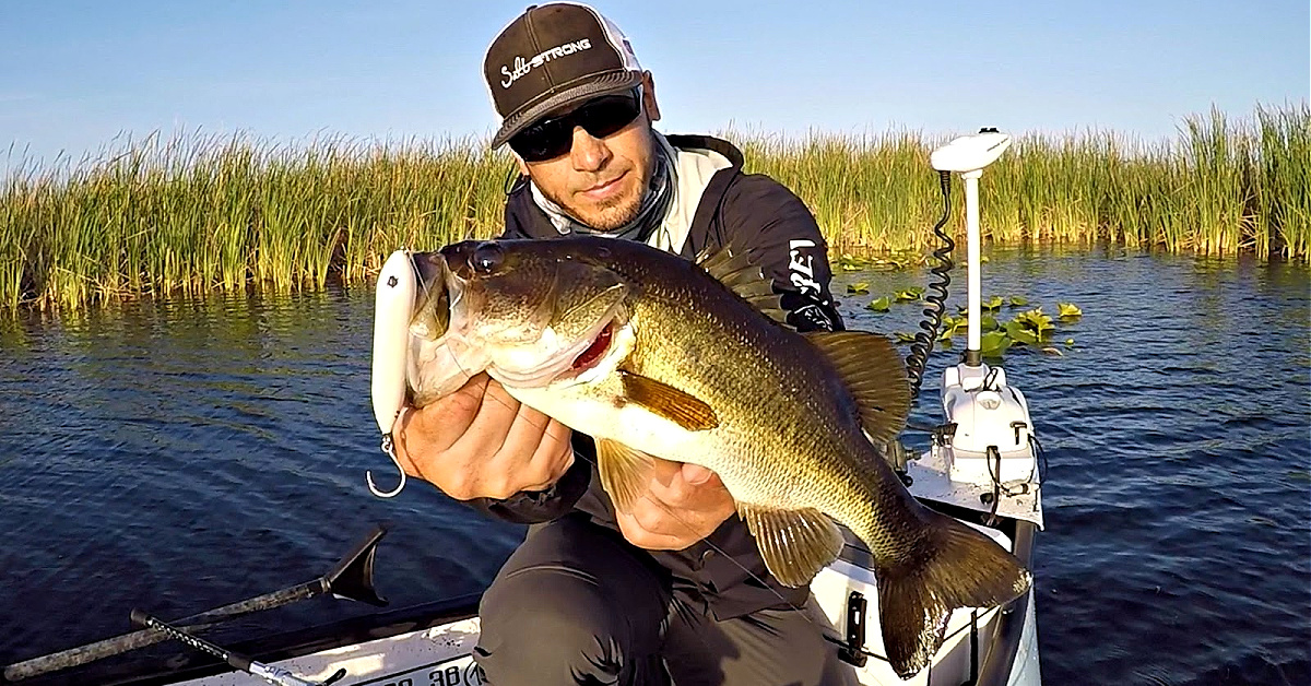 Can Largemouth Bass Live in Saltwater  