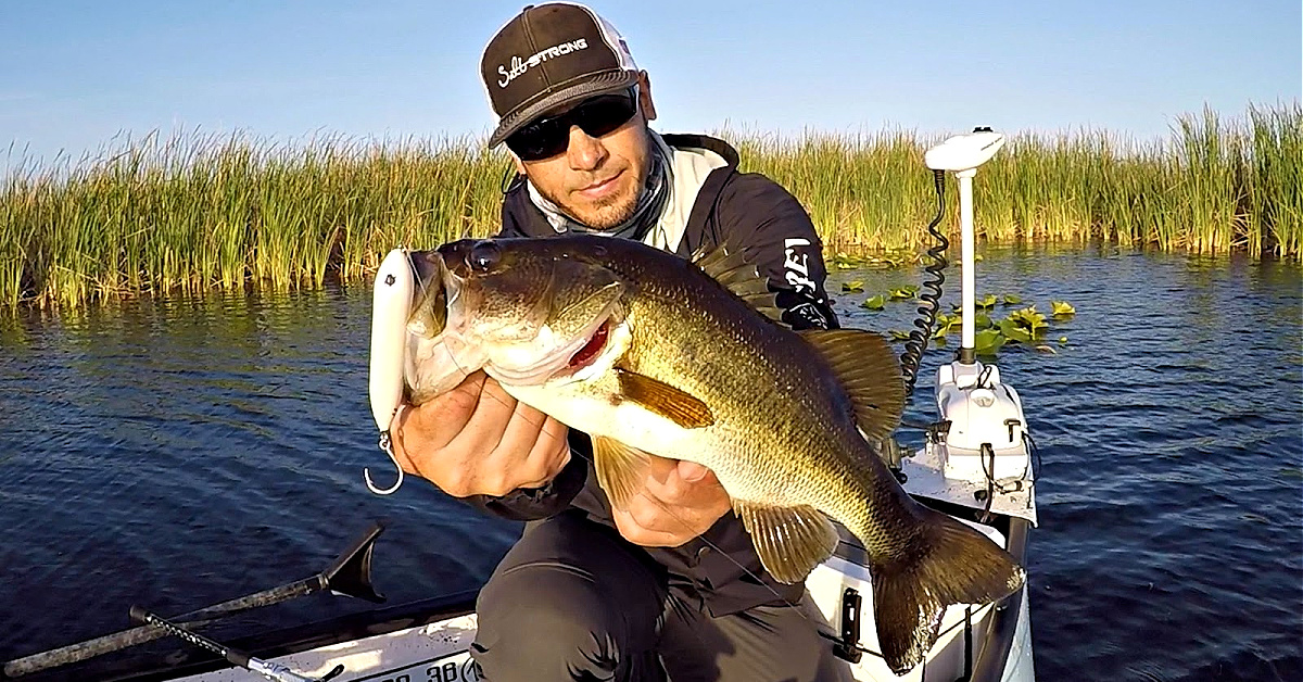 Will Saltwater Fishing Lures Catch Freshwater Bass?