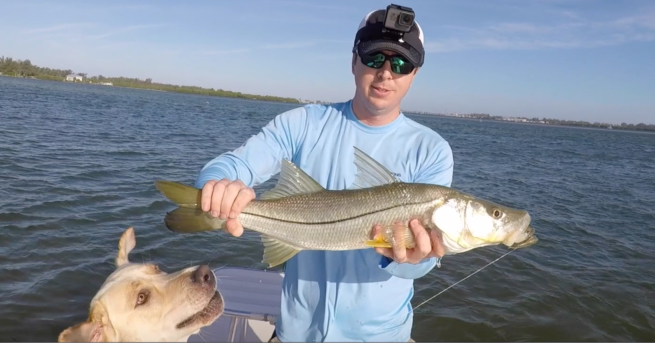 http://sarasota%20snook%20fishing