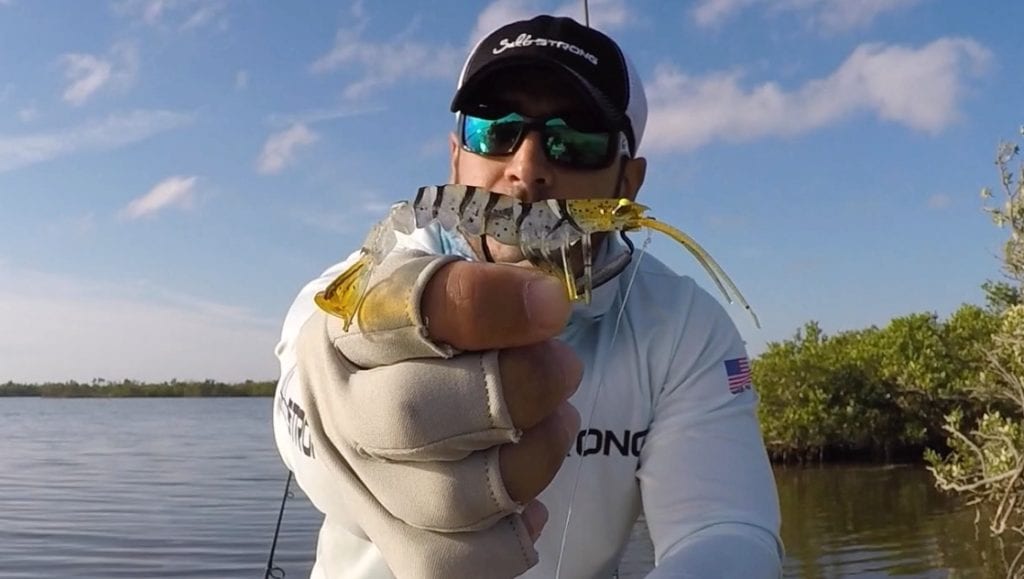 Best Shrimp Lures To Fish Under A Popping Cork [Brand Comparison]