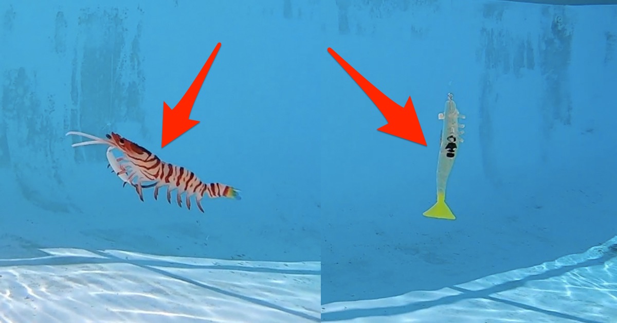 7x Luminous Fishing Lure Bait Artificial Shrimp Lures Plastics 5g 8cm Hook R5U0