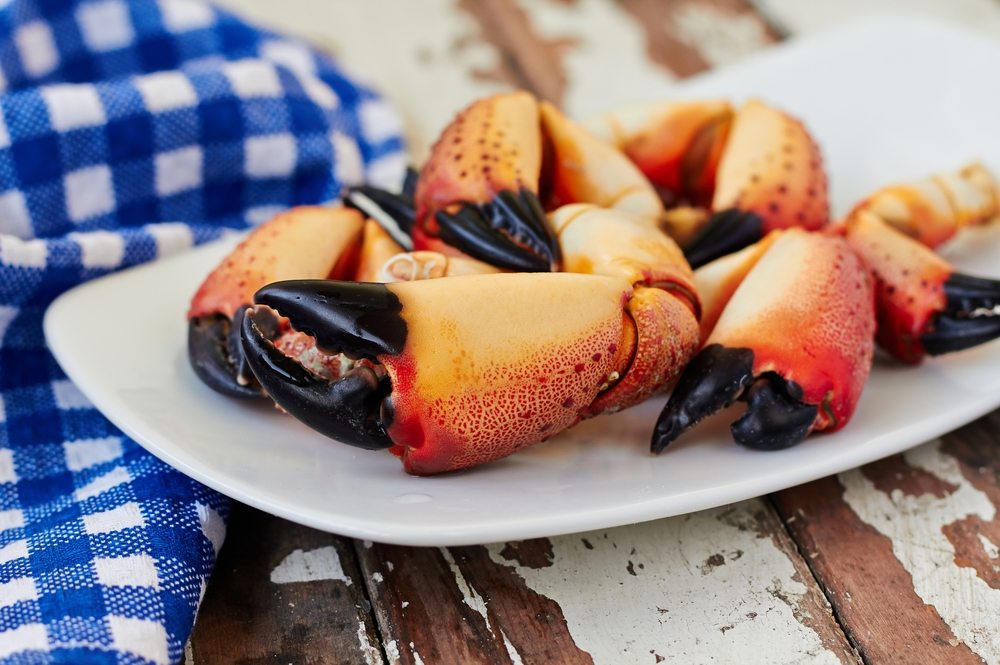how to catch stone crabs