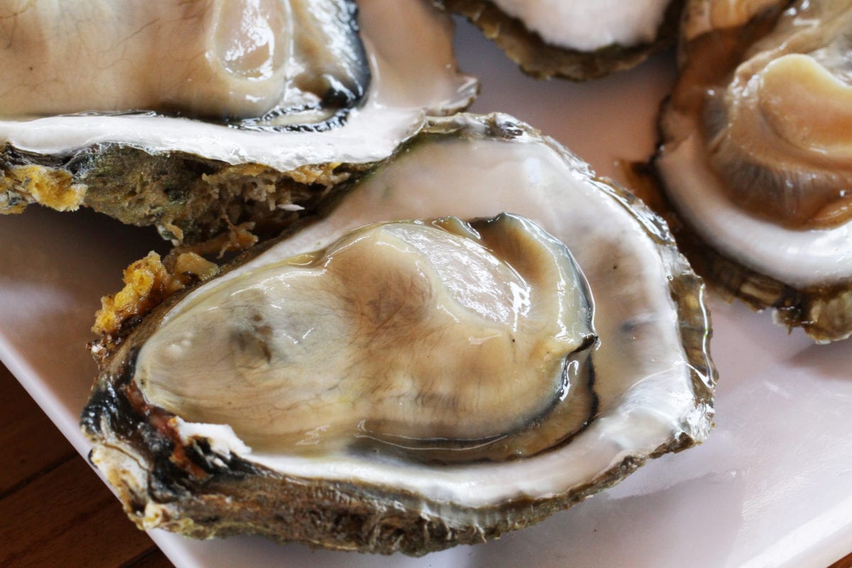 Do Raw Oysters Contain FleshEating Bacteria?
