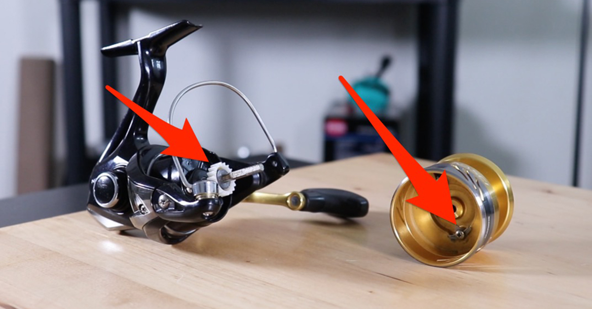 Spinning Reel Makes Noise When Reeling: Fix It Now!