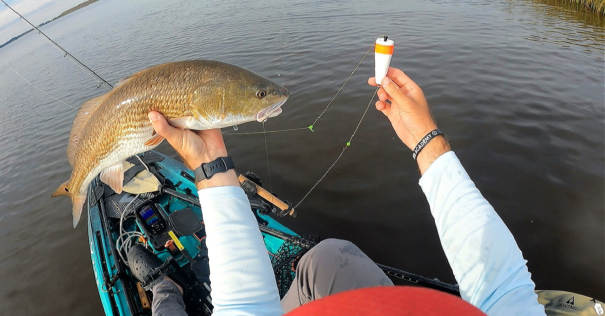 How To Fish With Live Shrimp From A Kayak