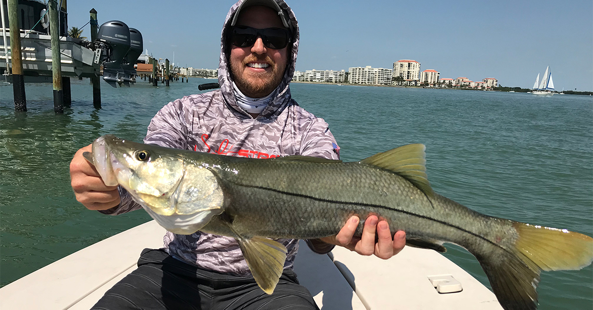 snook fishing off docks